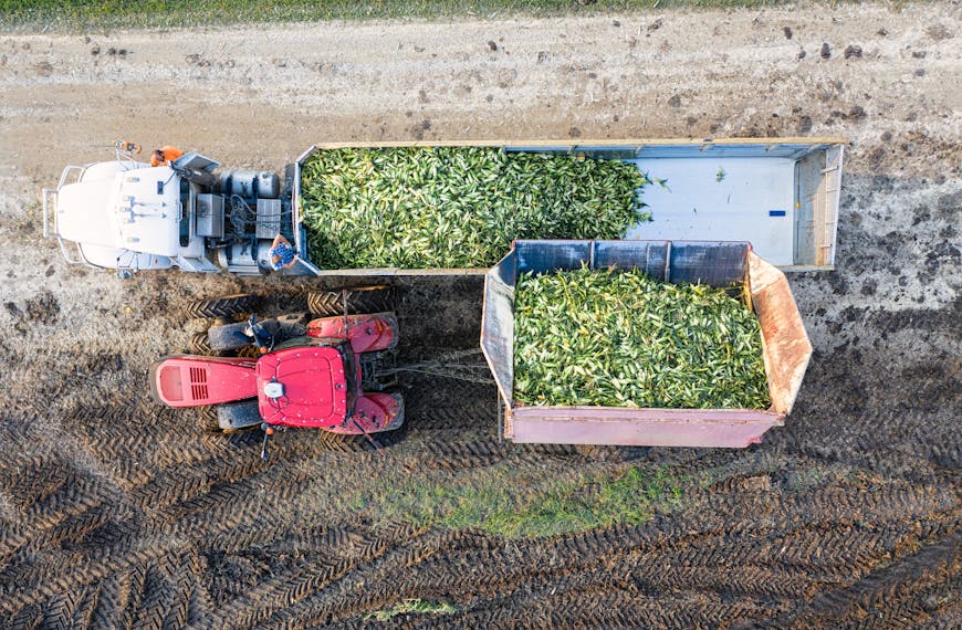 Wsparcie dla rolnictwa