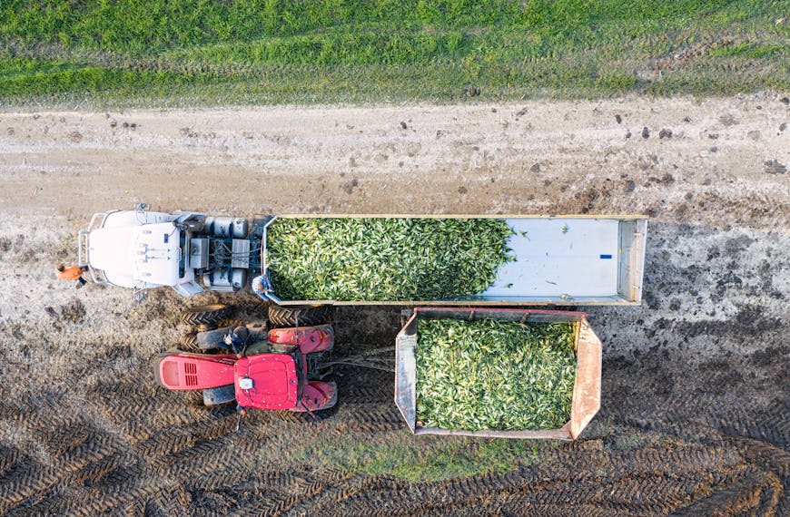 Narzędzia wspierające zarządzanie gospodarstwem rolnym