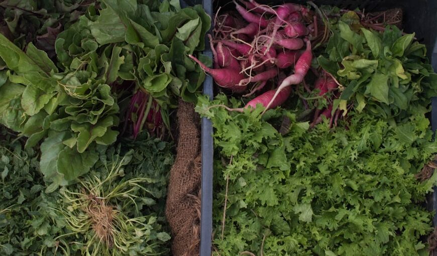 Gospodarstwo rolne zgodne z zasadami zrównoważonego rozwoju – jak prowadzić?