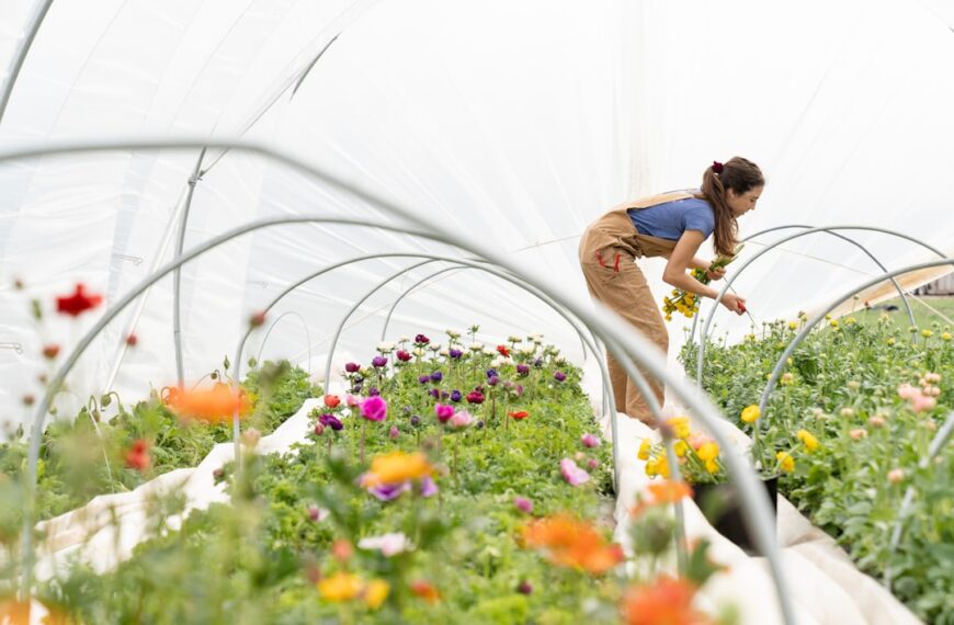 Nowoczesne rozwiązania w uprawie truskawek – przegląd technologii