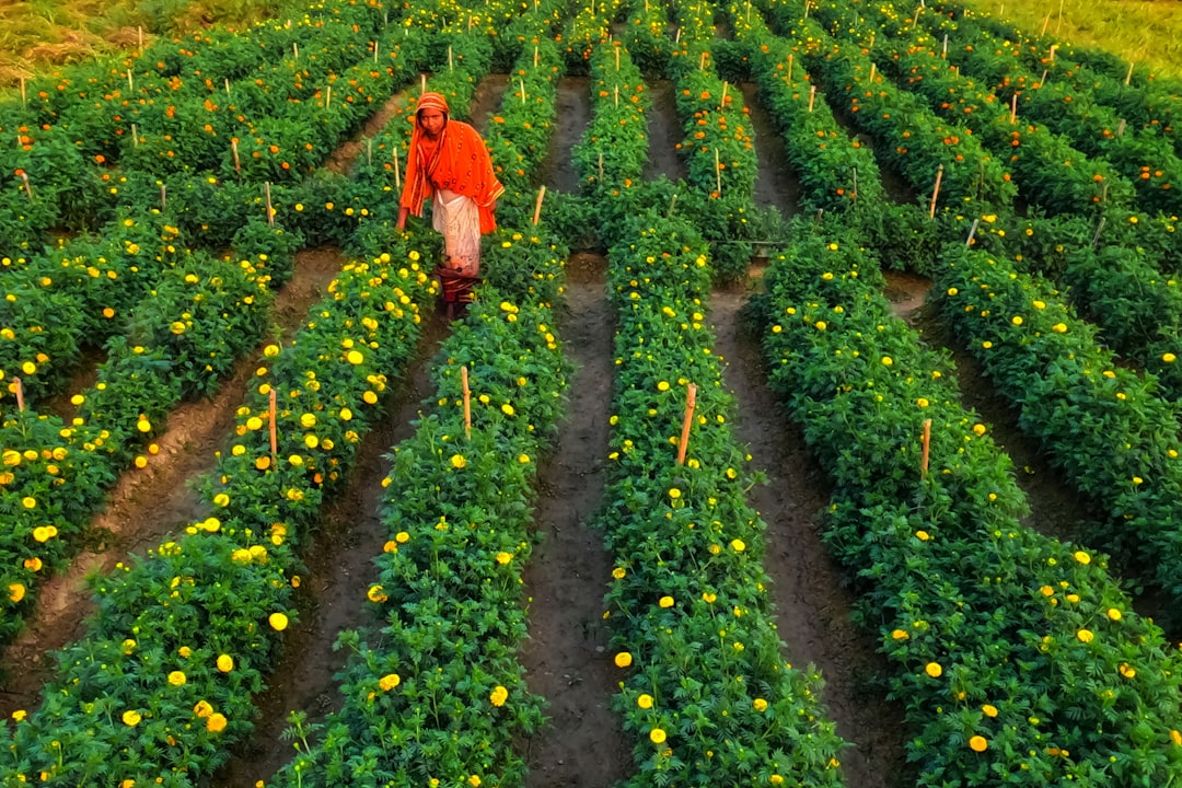 Ograniczenie kosztów nawożenia w gospodarstwie – efektywne metody