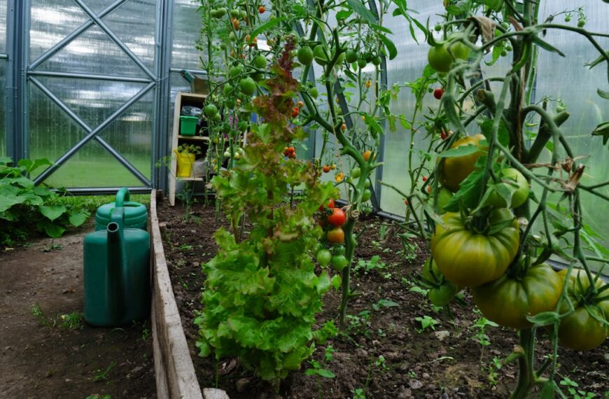 Programy wsparcia dla rozwoju agroturystyki w Polsce – przegląd