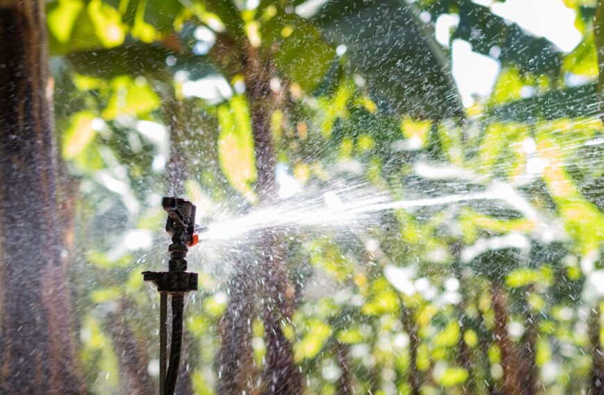System nawadniania dla małego gospodarstwa – jak wybrać?