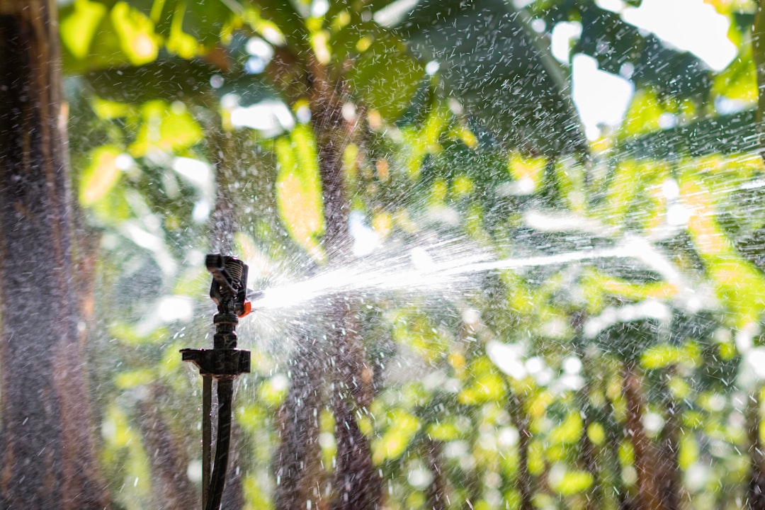 System nawadniania dla małego gospodarstwa – jak wybrać?