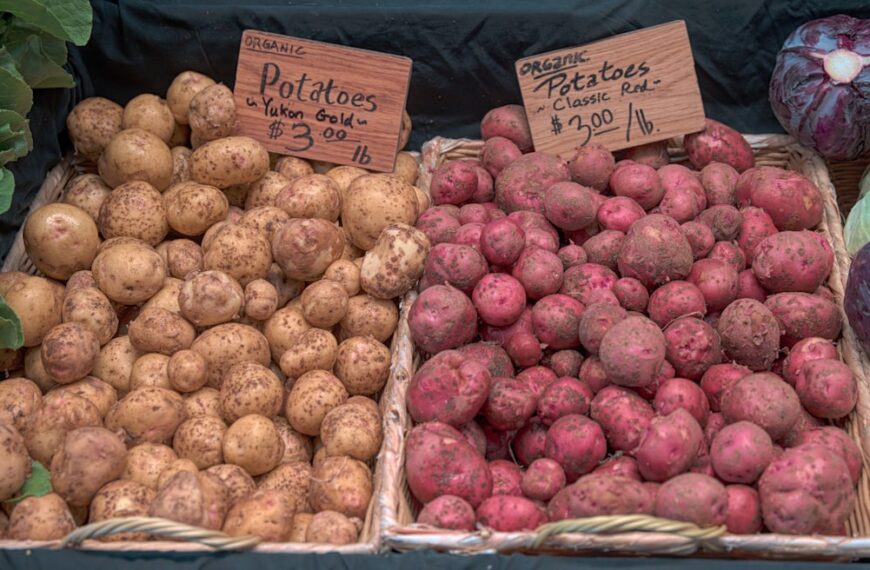 Uprawa ziemniaków na małą skalę – efektywne prowadzenie